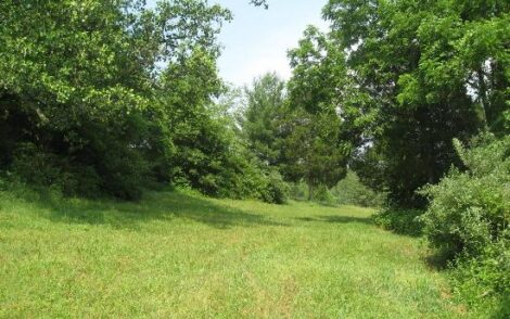 A Year in the Round: How I Found My Host (I Swear I’m Not a Parasite!) Image